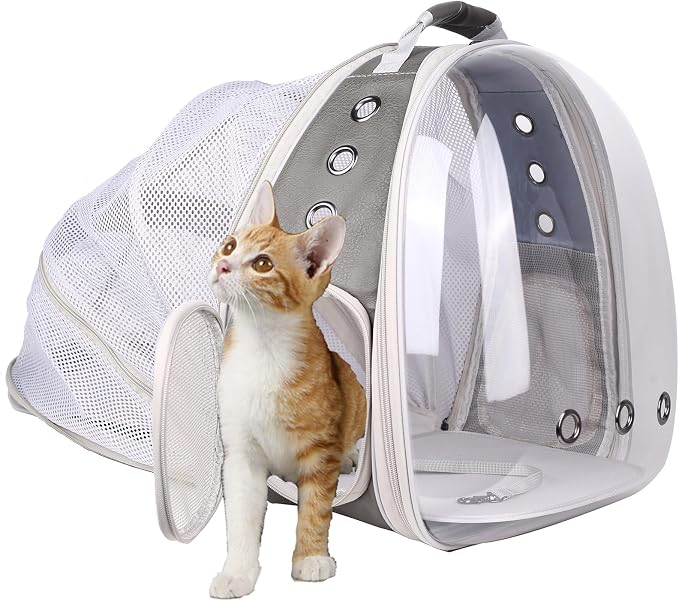 Carriers & Travel Products