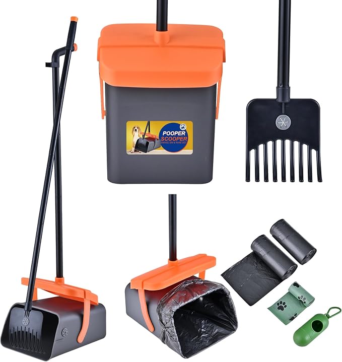 Litter & Housebreaking