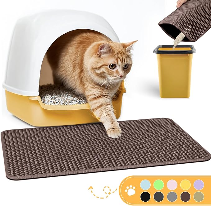 Litter & Housebreaking