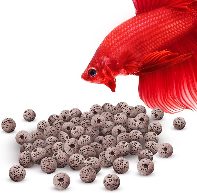 Aquarium Accessories