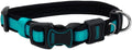 Coastal Pet - Coastal - Inspire Enhanced Core - Adjustable Collar by Coastal+Pet