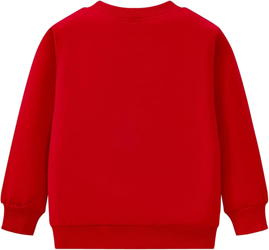 Toddler Baby Girls Cotton Sweater, Long Sleeve Crewneck Sweatshirt Pullover - Image 7