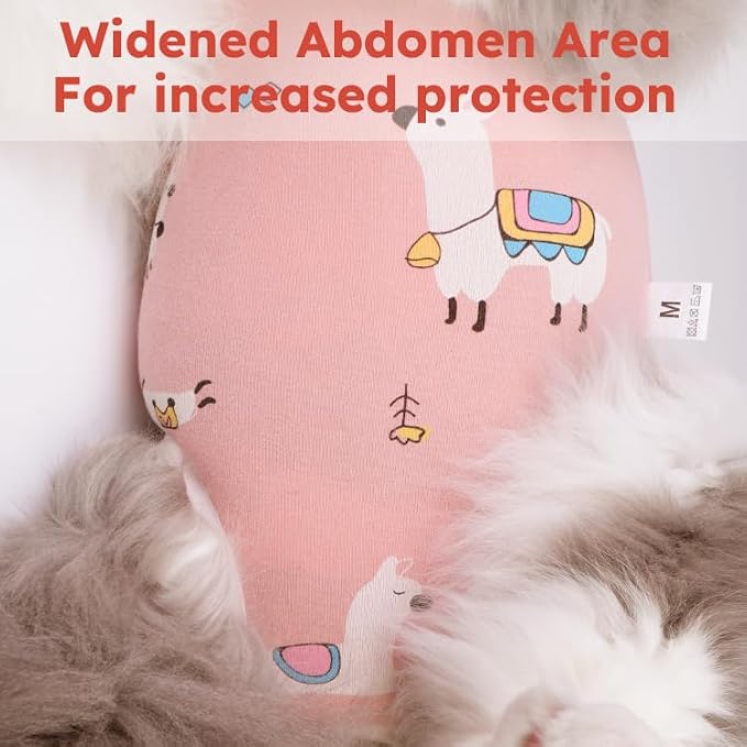 Cat Recovery Suit for Spay Abdominal Wounds, Breathable Cat Onesie for Cats - Image 4