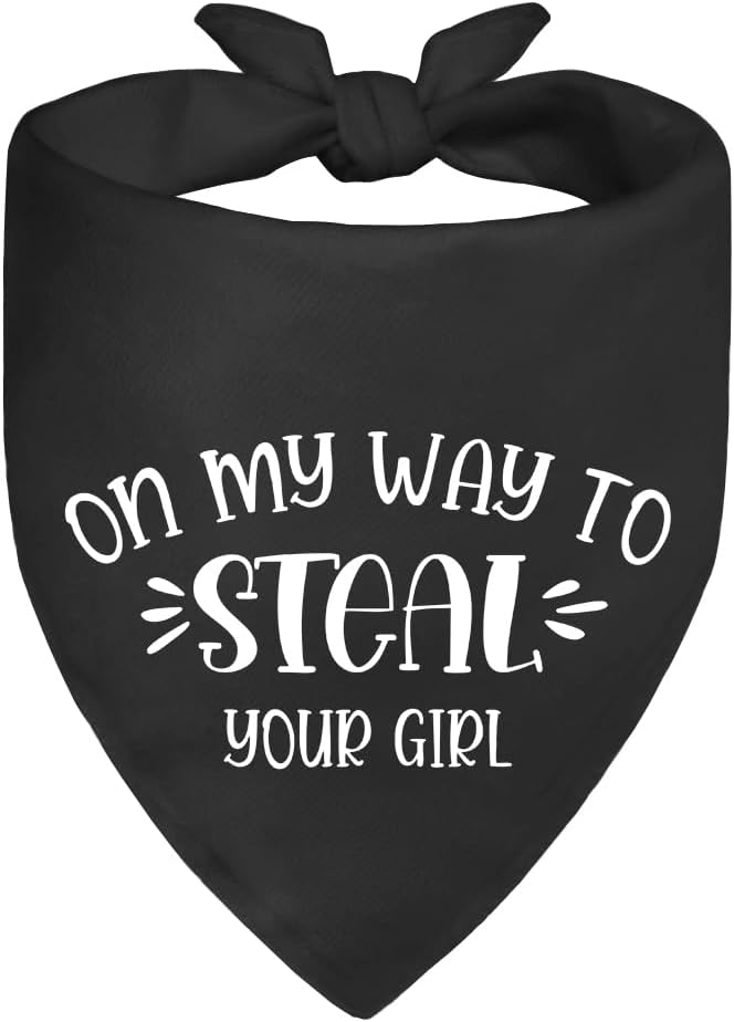 On My Way to Steal Your Girl Black Dog Bandana, Funny Pet Scarf Accessories by ZBBFSCSB