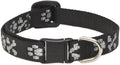 LupinePet Originals 1/2" Bling Bonz Cat Safety Collar by LupinePet