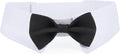 Segarty Dog Bow Tie for Neck Girths 16.5-21.2 in, Adjustable Bowtie Collar for by Segarty