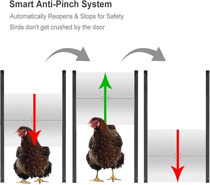 JVR Automatic Chicken Coop Door Opener - Image 2