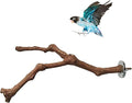 PINVNBY Parrot Perches Natural Birds Stand Wild Grape Stick Grinding Paw by PINVNBY