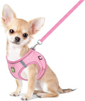 FEimaX Dog Harness and Leash Set, No Pull Breathable Soft Mesh Puppy Vest by FEimaX