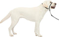 PetSafe Gentle Leader No-Pull Headcollar by PetSafe