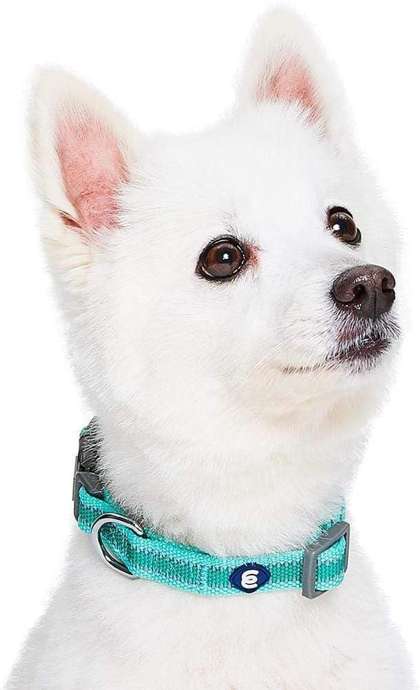 Blueberry Pet Essentials Reflective Adjustable Safety Nylon Dog Collars Medium - Image 2