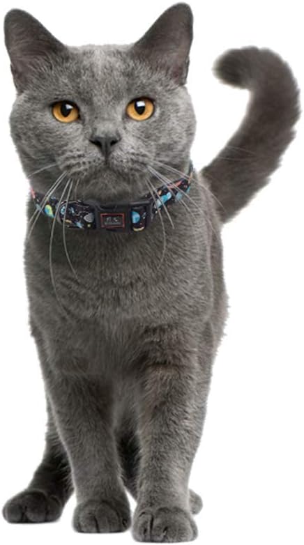 QQPETS Adjustable Soft Dog Collar: Print Flower Pink Multicolor Cute Patterns - Image 4