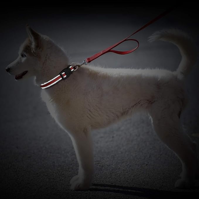 Weewooday 3 Pieces Reflective Dog Collar Nylon Adjustable Quick Release Pet - Image 6