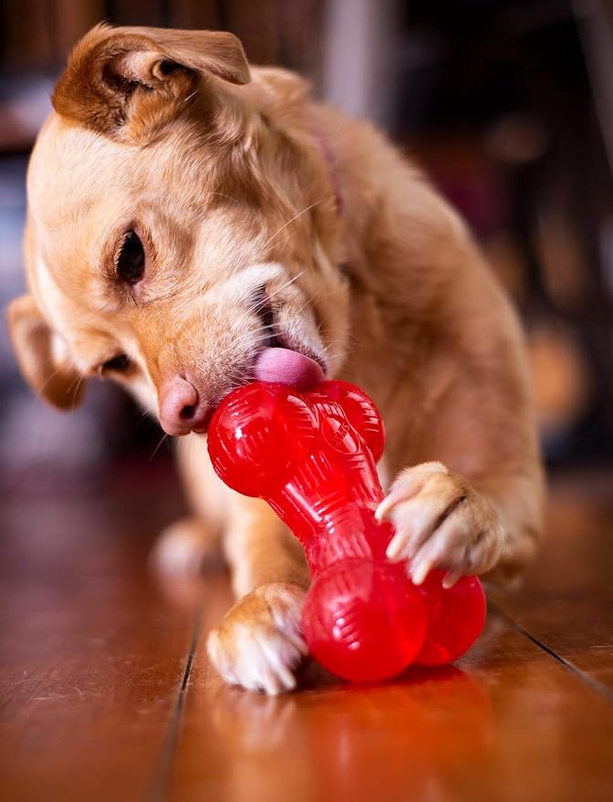 SPOT Play Strong Bone- Durable TPR Long Lasting Dog Chew - Image 8