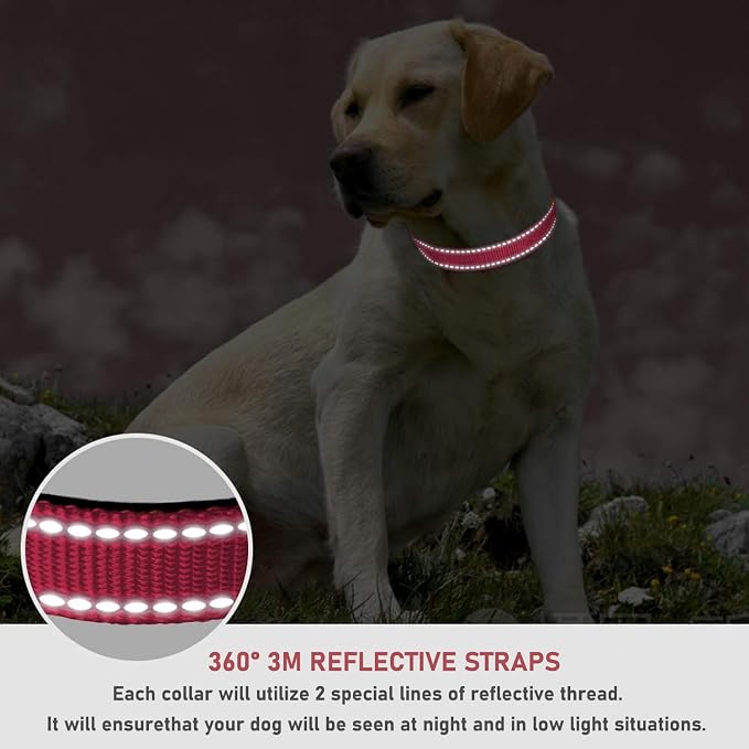Reflective Dog Collar with Buckle Adjustable Safety Nylon Collars - Image 4