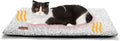 Self Warming Cat Bed Self Heating Cat Dog Mat 24 x 18 inch Extra Warm Thermal by MoraPets