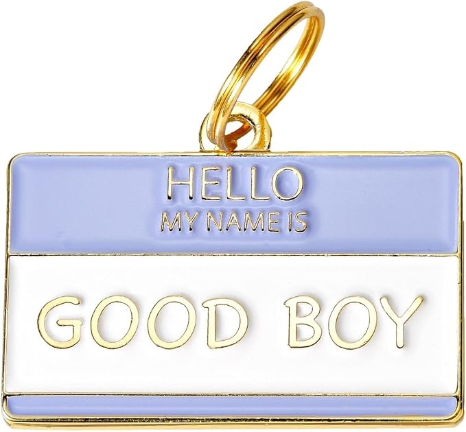 Two Tails Pet Company Personalized 'Good Boy' Pet ID Tag & Collar Charm by TwoTailsPetCompany