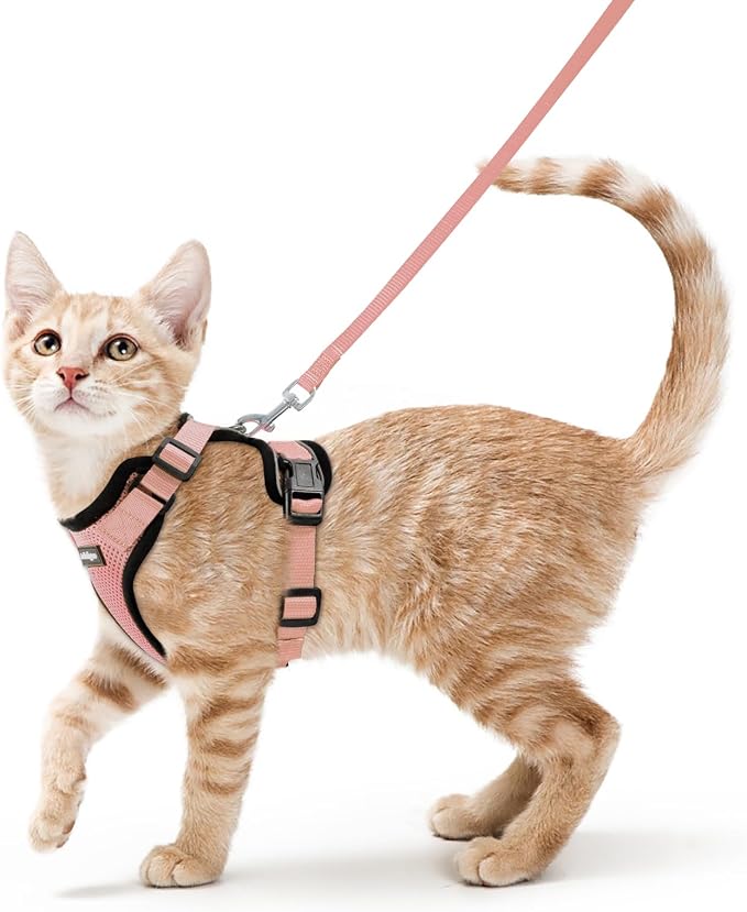 rabbitgoo Cat Harness and Leash by rabbitgoo