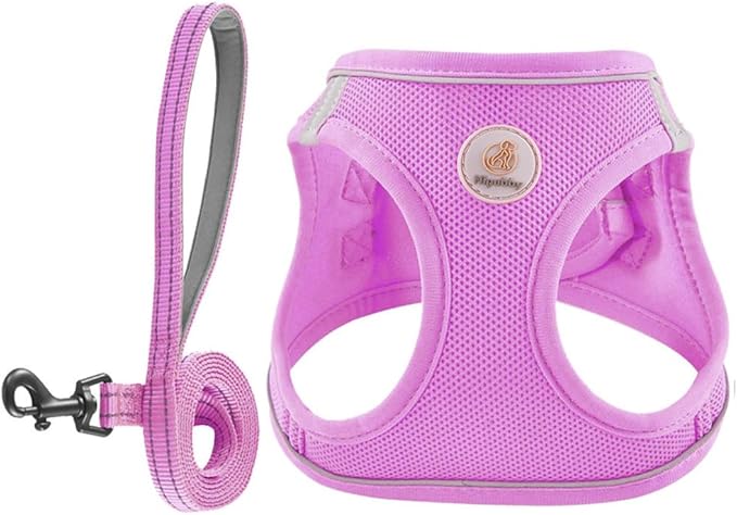 Hipubby Dog Harness and Leash Set, No Pull Soft Mesh Puppy Harness by Hipubby