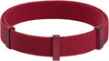 Safety Cat Collar by BuddyArmor