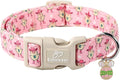 Easter Dog Collar for Medium Dogs by Babolepet