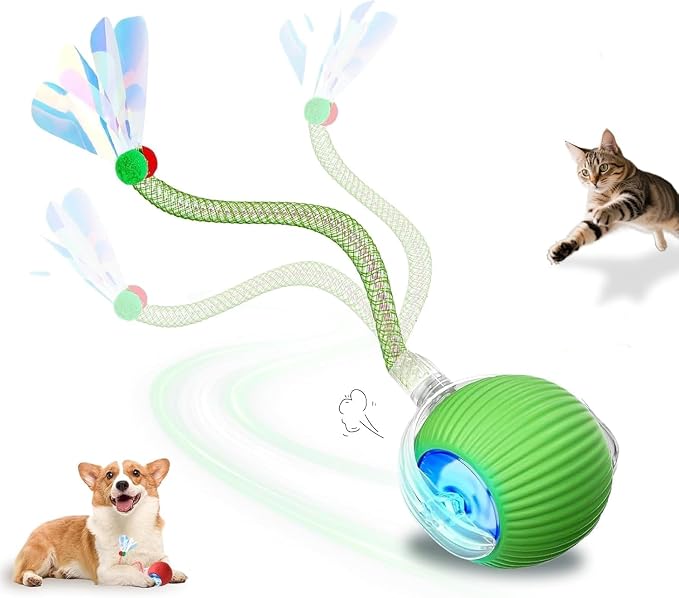 Interactive Cat Toys Ball for Indoor Cats＆Dog, Automatic Cat Toy 360° by Petayouj