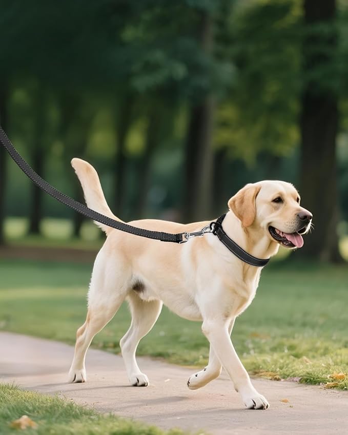 Joytale Reflective Dog Collar, Adjustable Nylon Pet Collar - Image 6