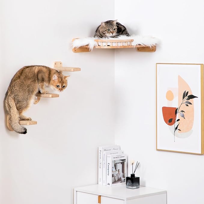 Cat Shelves - 3-Step Wall Climbing Set - Image 5
