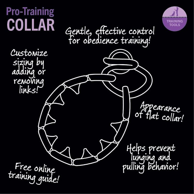 Starmark Pro-Training Dog Collar Small - Image 4