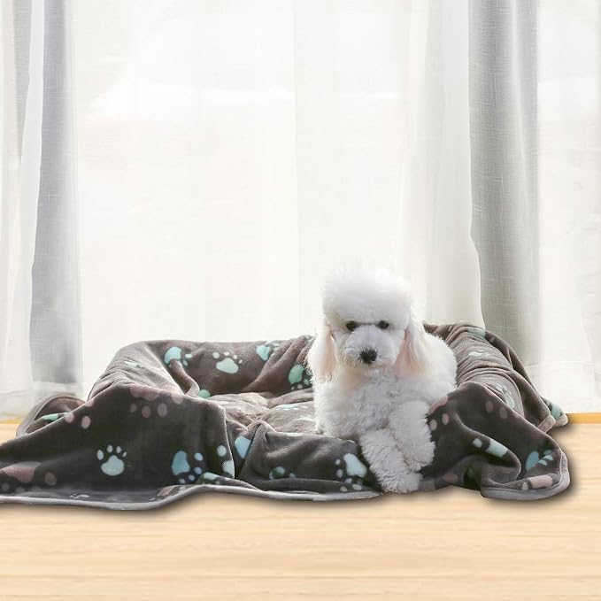 Allisandro Super Soft and Premium Fuzzy Flannel Fleece Pet Dog Blanket - Image 6