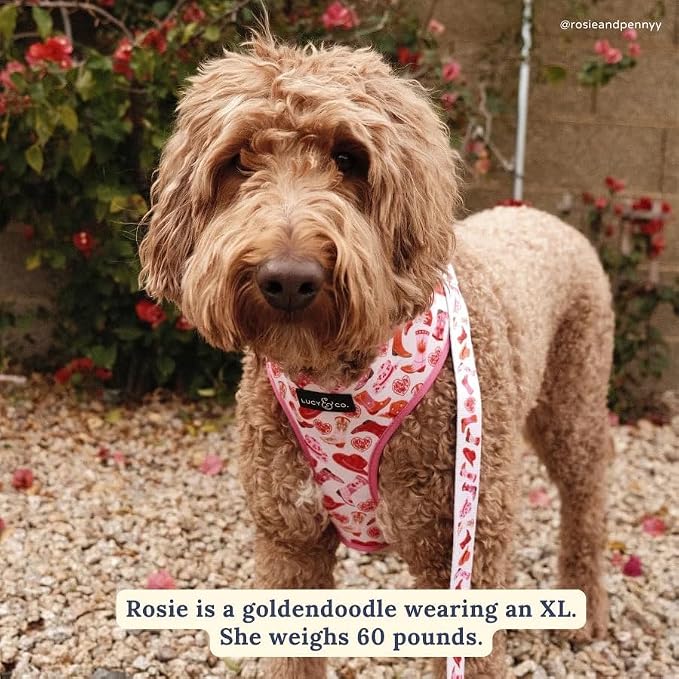 Lucy & Co. Little Lamb Dog Collar - Image 2