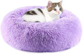 Purrfect Cat Beds by Unknown