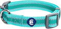 Blueberry Pet Essentials Reflective Adjustable Safety Nylon Dog Collars Medium by BlueberryPet