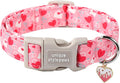 Unique style paws Valentine's Day Dog Collar Plastic Buckle Collar by Uniquestylepaws