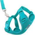 RC Pets Adventure Kitty Harness Includes Adjustable, Airmesh Fabric by RCPets