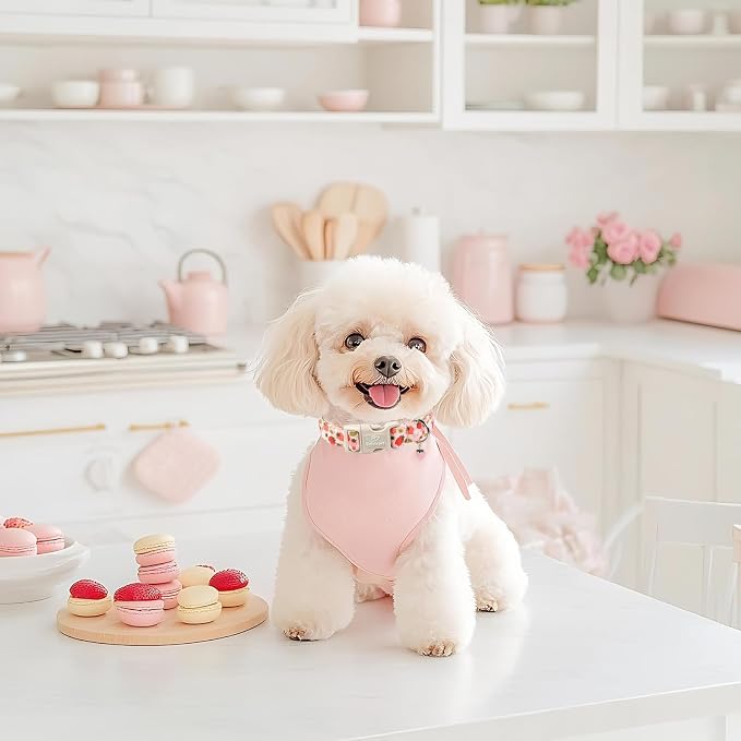 Strawberry Dog Collar for Medium Dogs - Image 5