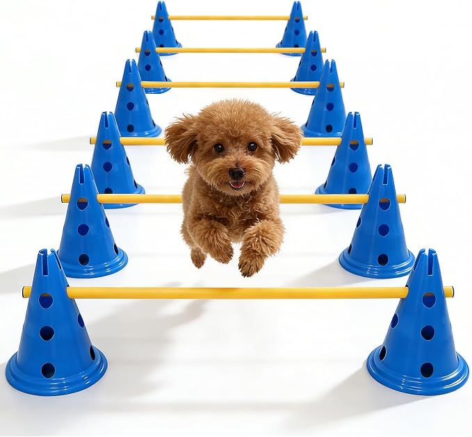 Dog Agility Hurdle Cone Set, Dog Agility Course Backyard Set by Toplamper