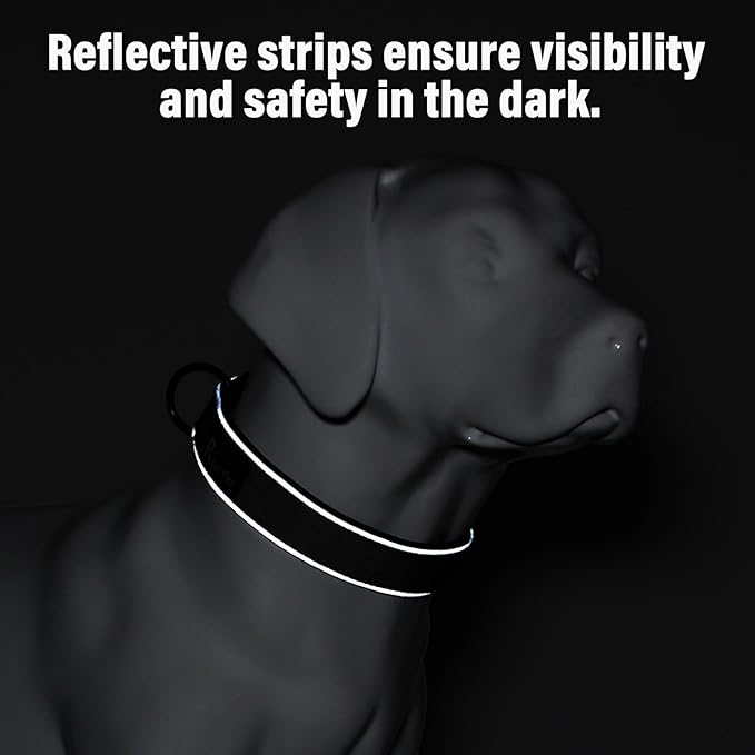 Plutus Pet Tactical Dog Collar, Reflective, Adjustable Heavy Duty Dog Collar - Image 5