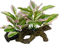 Smoothedo-Pets Fish Tank Decorations Aquarium Decor Ornaments Betta Pink Leaf by EnvironmentFriendlyArtificialPlasticPlantAquariumDecoration