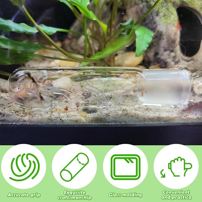 2 Pack Clear Glass Planaria Trap Catch Trap Aquarium Cleaning Supply - Image 2