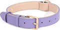 WHIPPY Leather Dog Collar for Small Medium Large Dog Adjustable Soft Breathable by WHIPPY