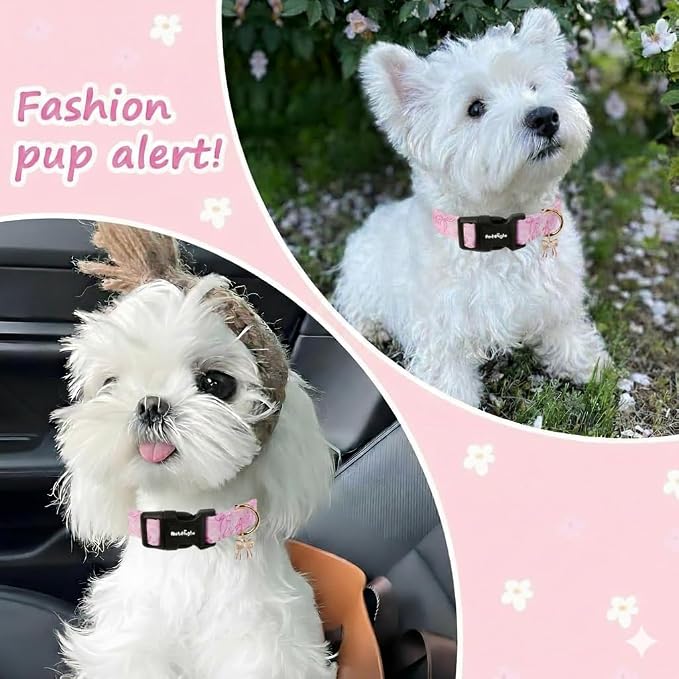 Large Dog Collar, Girl Boy Dog Collars - Image 4
