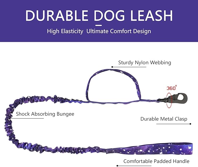 DAGANXI Tactical Dog Collar, Adjustable Military Training Nylon Dog Collar - Image 5