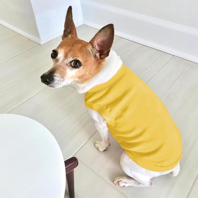 Custom Dog Shirt Pet T Shirts for Small Medium Large Dogs Customized Clothes - Image 5
