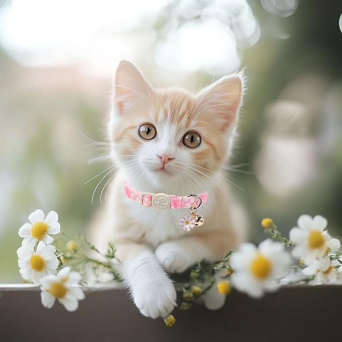 2 Pack Pink Cat Collars - Image 5