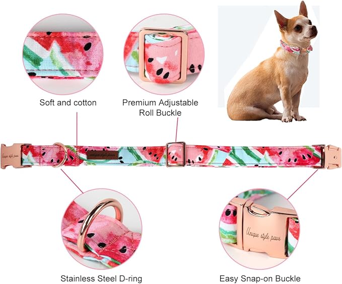Unique Style Paws Dog Collar Metal Buckle Watermelon Cute Collar - Image 2
