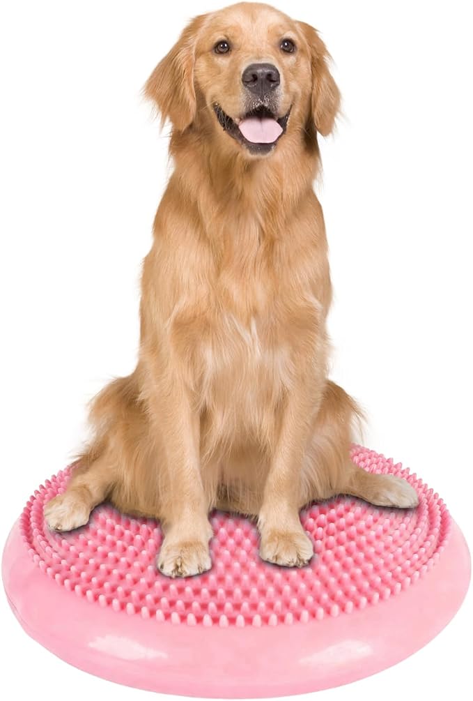 Dog Balance Disc 14", Dog Balance Equipment by Unknown