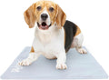 The Green Pet Shop Dog Cooling Mat Cover by TheGreenPetShop