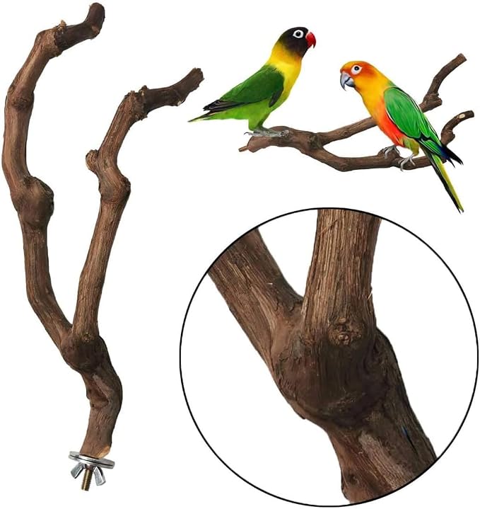 kathson Natural Parrot Perch Bird Stand Pole Wild Grape Stick Paw Grinding Fork - Image 6