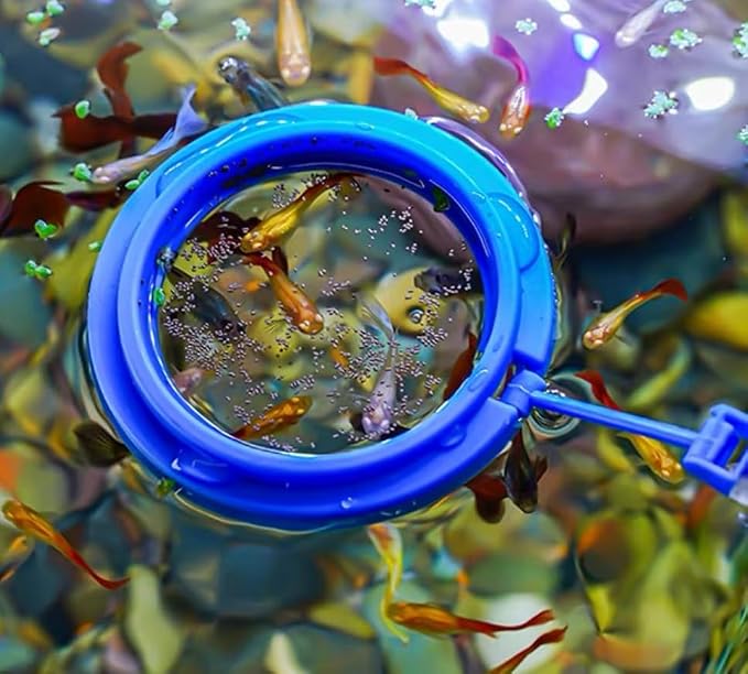 Coral Reef Grabber, Coral Feeder, Aquarium Veggie Feeder, Fish Tank Food Clip - Image 6